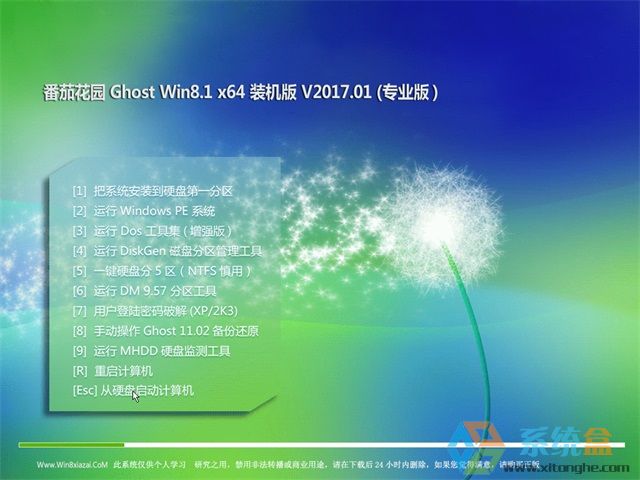 番茄花园Ghost Win8.1 (X64)专业装机版_ISO镜像2023年4月 ISO镜像高速下载